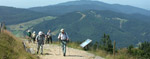 Wanderer im Schwarzwald